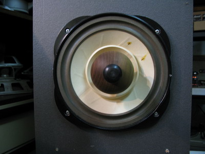Lowther plug 7.JPG
