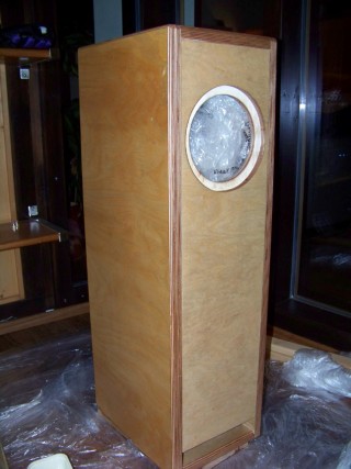 sperploca (2) (Mobile).jpg
