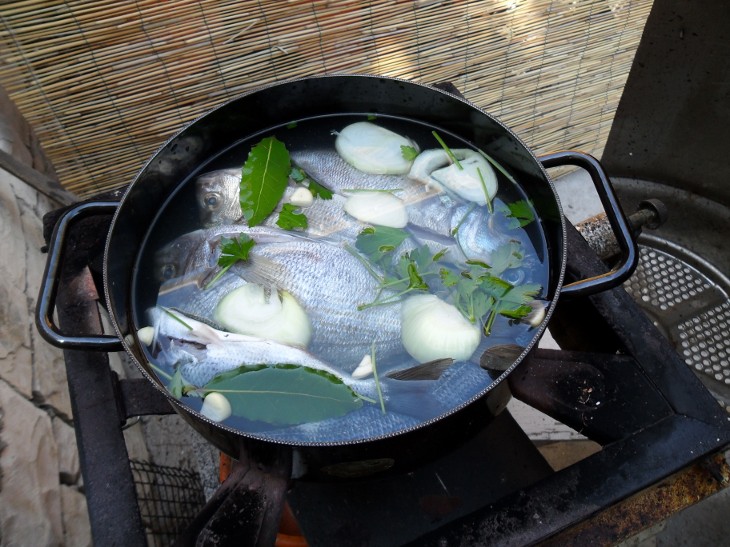 akvarij.JPG