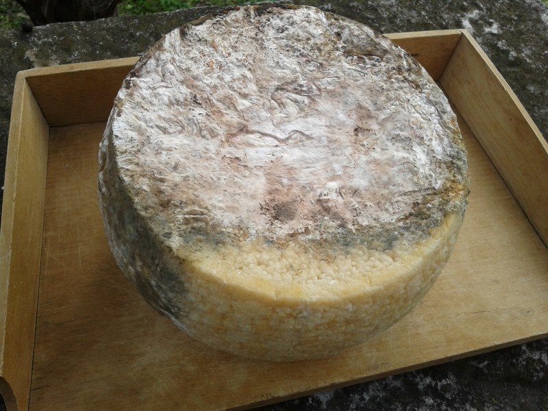 2013-03-01 15.35.03 (Custom).jpg