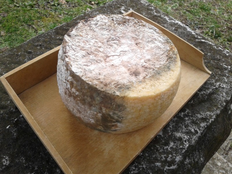 2013-03-01 15.35.12 (Custom).jpg