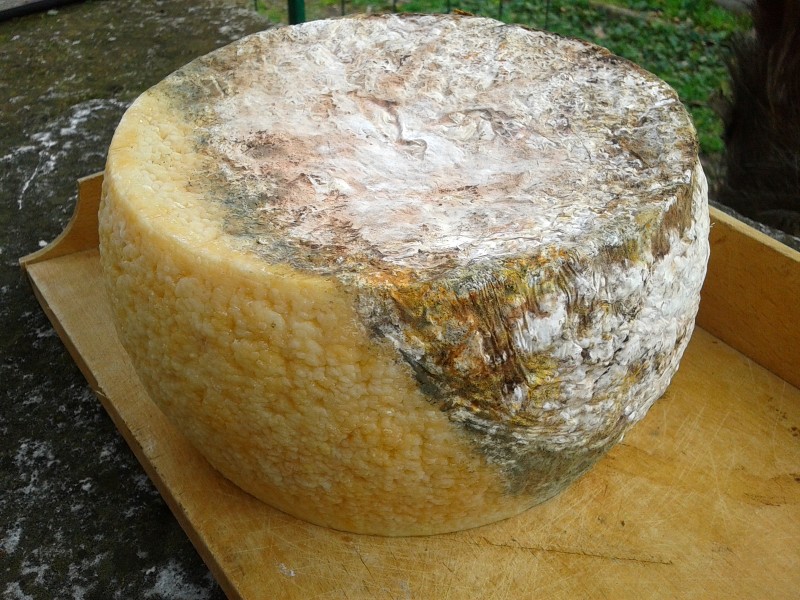 2013-03-01 15.35.46 (Custom).jpg