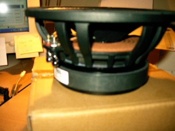 IMAG0035.JPG