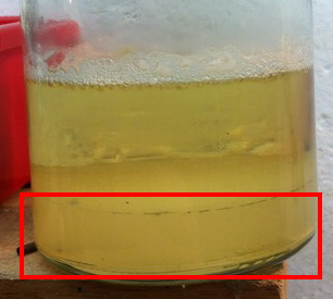 PA66_HCl_0.JPG