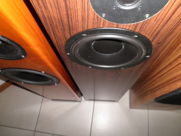PB1204277.jpg