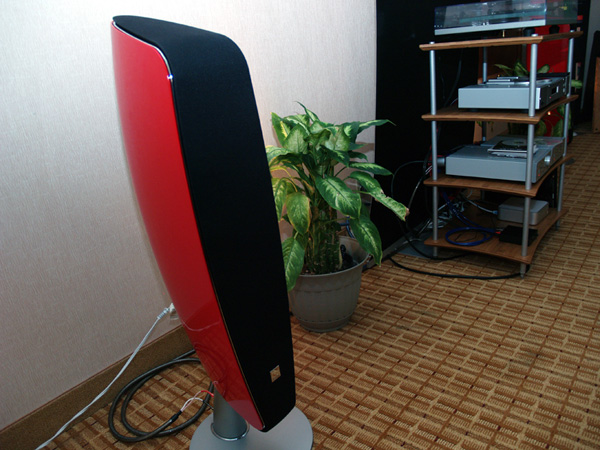 P1018533.jpg
