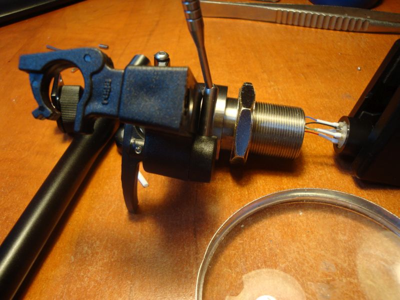 rega1.jpg